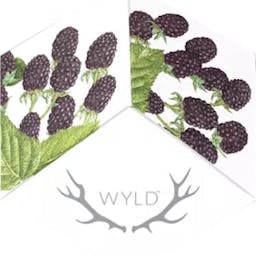 Picture of theWYLD   Marionberry Gummies   10 Pack