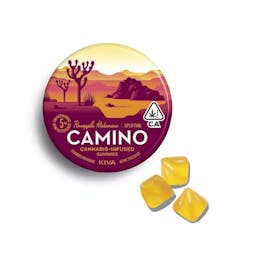 Picture of theCaminoPineapple Habanero  Tin  