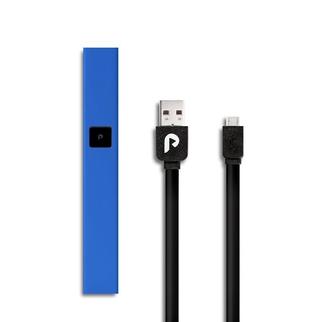 image of PLUGPLAY  Battery Blue Steel : Accessories