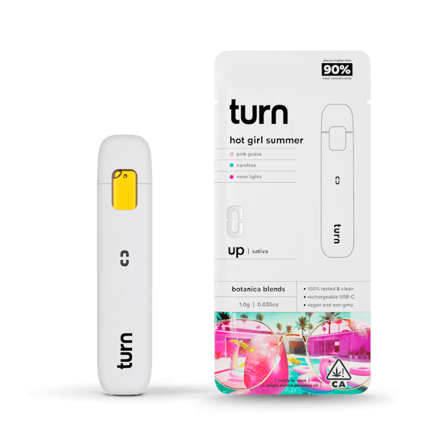 image of turn hot girl summer   1G Disposable (s hybrid) : Vape Pens