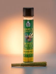 image of HolyHerb Infused Hybrid 1.3g preroll Honey Buzz : PreRol Infused