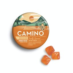 Picture of theKiva ConfectionsCamino Freshly Squeezed "Recover" CBG Gummies 