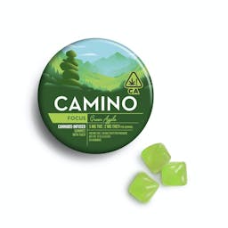 Picture of theCamino Green Apple "Focus" THCV Gummies