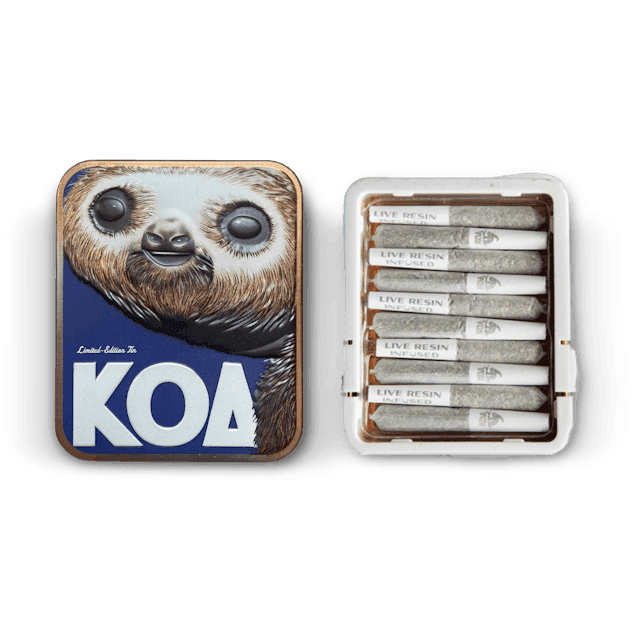 image of KOA Dompen Koa Live Resin Infused Pre Rolls 3.5g (10pk) - Banana Jelly x Guava Gas : PreRol Infused