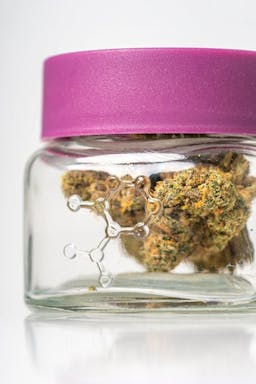 Picture of theTHC DesignXJ 13 3.5g  Estate Eighth Jar (Sativa)