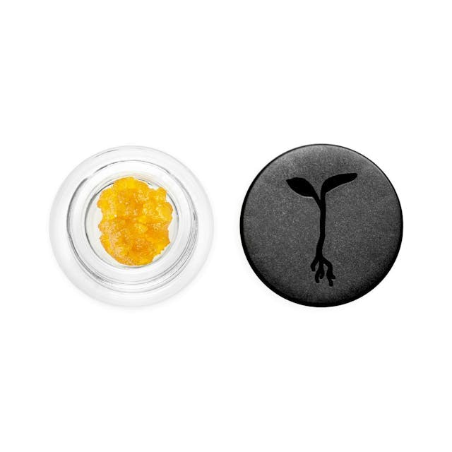 God's Breath Live Resin