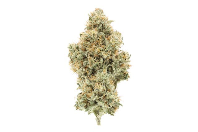 image of UpNorth NF1  3.5 gram : Flowers