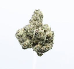 Picture of theUpNorthPurple Kush 8th