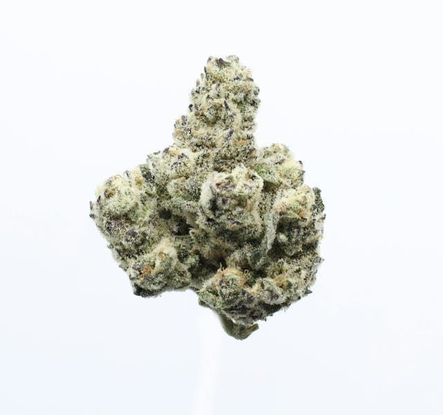 image of UpNorth Purple Kush 8th : Flowers