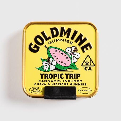 image of Goldmine Gummies  Tropic Trip Guava & Hibiscus Tin : Edibles