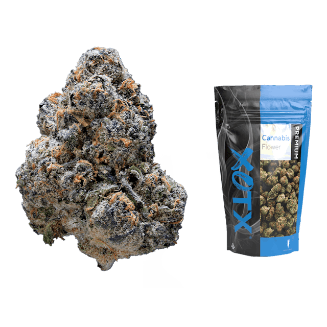 image of XOTX Bubble Gum Runtz   .5oz : Flowers