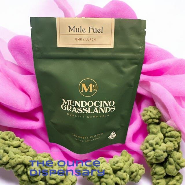 image of Mendocino Mule Fuel 14g Half Ounce (Green) : Flowers