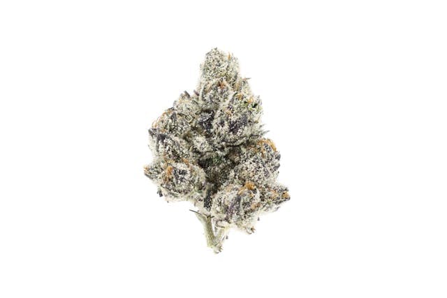 image of UpNorth Purple Zaza   3.5g : Flowers