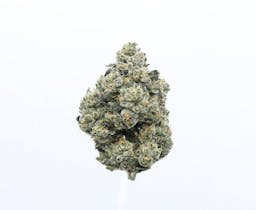 Picture of theUpNorthPina Colada 8th