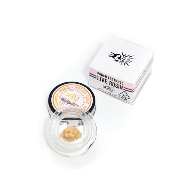 image of Punch Edibles & Extracts Orange Cookies Tier 4 Live Rosin Cold Cure Badder (1g) : Concentrates